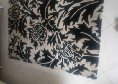 Profesjonalne pranie i czyszczenie dywanów wykładzin - Gdańsk, Gdynia, Sopot. Pranie, czyszczenie tapicerki z dojazdem do Klienta GRATIS.