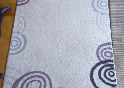 Profesjonalne czyszczenie dywanów TRÓJMIASTO DOJAZD GRATIS