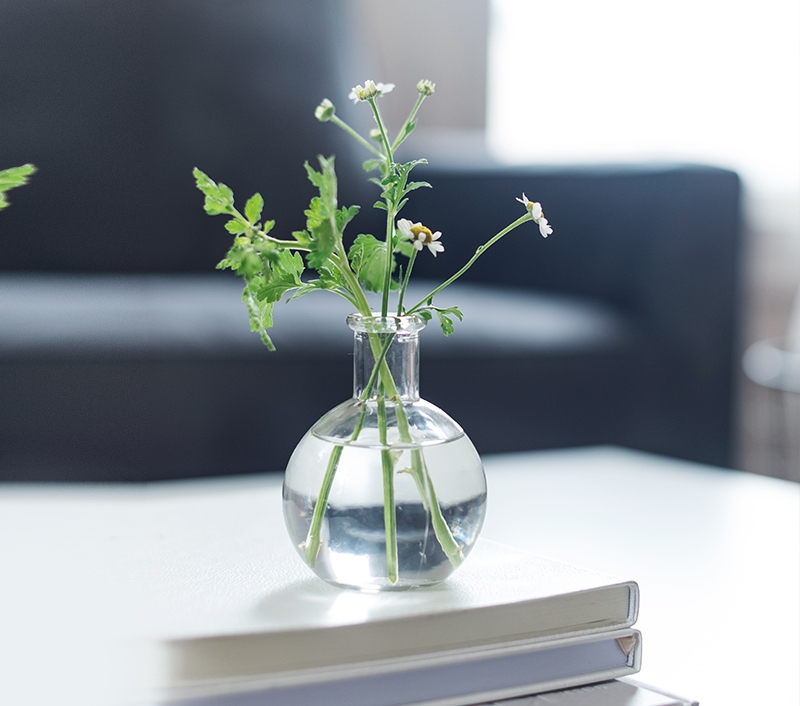 Sprzątanie mieszkań domów 1 image 5